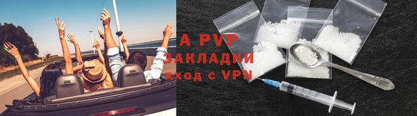 сатива Волосово