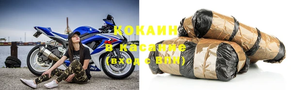стаф Каменка