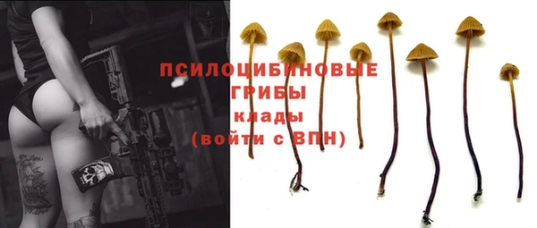 сатива Волосово