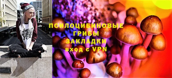 сатива Волосово