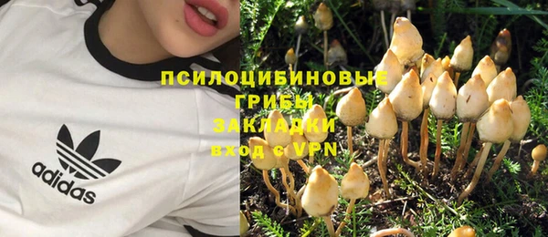 спиды Каменногорск