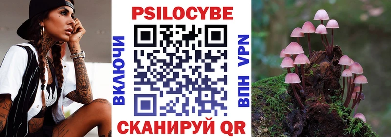 Галлюциногенные грибы мицелий  Новоржев 